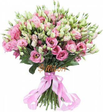 2f092386-1862-11_milori