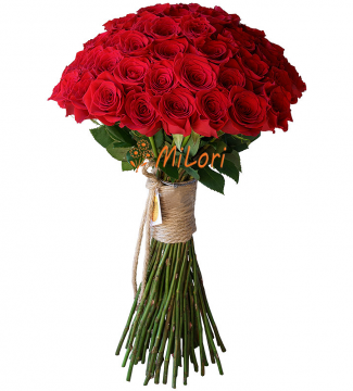 548978976856767875656755666_milori