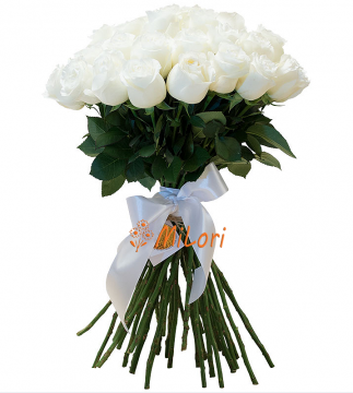 5647788979767987698787_milori