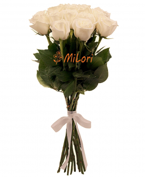 5654645654645 (2)_milori