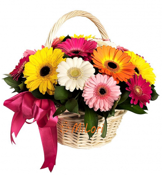 56754756767876_milori