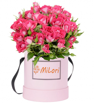 567688666565645_milori