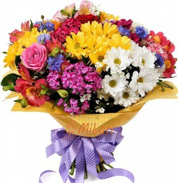 57567876694000808_milori