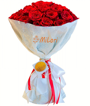 676557657668756567_milori