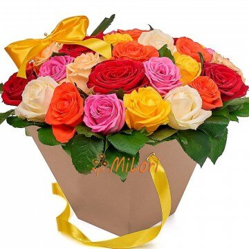 678978008909099899998_milori