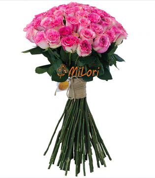 780879879786876776877776_milori