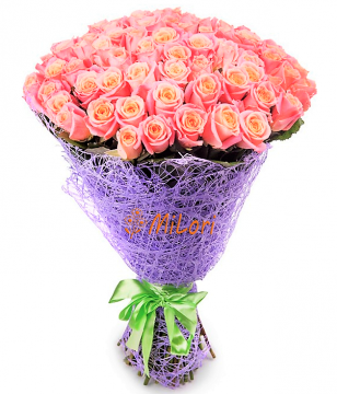 8768987987686789877878_milori