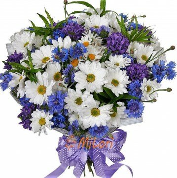 87767879789870009090000_milori