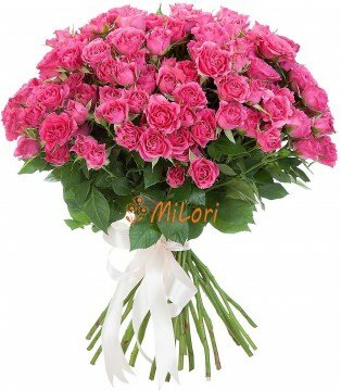 95fe6ac9-838a_milori