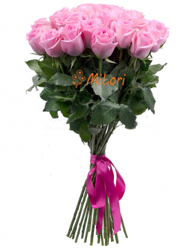 tytrytry567565565_milori